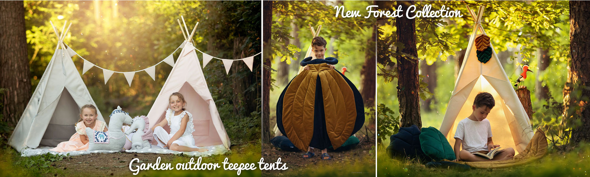 forest collection banner